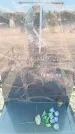 Захоронение ID 6369284