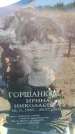 Захоронение ID 6369335