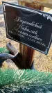 Захоронение ID 6369628
