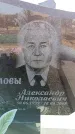 Захоронение ID 6369686