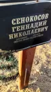 Захоронение ID 6369739
