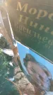 Захоронение ID 6369755