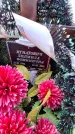 Захоронение ID 6369856