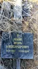 Захоронение ID 6369935