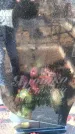 Захоронение ID 6369984