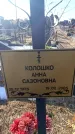 Захоронение ID 6370136