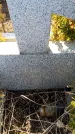 Захоронение ID 6370290