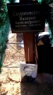 Захоронение ID 6370349