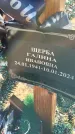 Захоронение ID 6370382