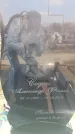 Захоронение ID 6370599