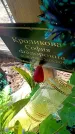 Захоронение ID 6370884