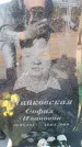 Захоронение ID 6371013