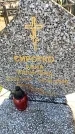 Захоронение ID 6371310