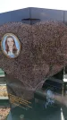 Захоронение ID 6371330