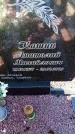 Захоронение ID 6371570