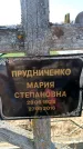 Захоронение ID 6371628