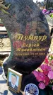 Захоронение ID 6371653