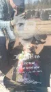 Захоронение ID 6371714