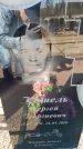 Захоронение ID 6371715