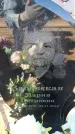 Захоронение ID 6371722