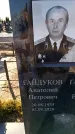 Захоронение ID 6371735
