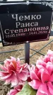 Захоронение ID 6371743