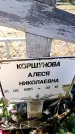 Захоронение ID 6371773
