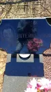 Захоронение ID 6372017