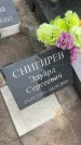 Захоронение ID 6372591