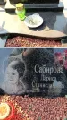 Захоронение ID 6372904