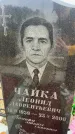 Захоронение ID 6373345
