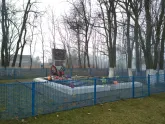 Братская могила 3784