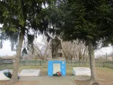 Братская могила 3848