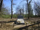 Братская могила 3734
