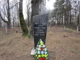 Братская могила 3849