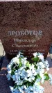 Захоронение ID 6373475