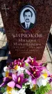 Захоронение ID 6373476