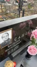 Захоронение ID 6373823