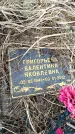 Захоронение ID 6373886
