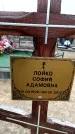 Захоронение ID 6373891