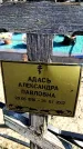 Захоронение ID 6374444