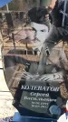 Захоронение ID 6374452