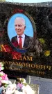 Захоронение ID 6374519