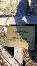 Захоронение ID 6374551