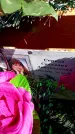 Захоронение ID 6374681