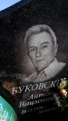 Захоронение ID 6374705