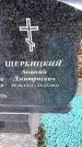 Захоронение ID 6374945