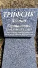 Захоронение ID 6375048