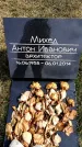 Захоронение ID 6375112