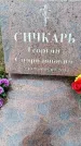 Захоронение ID 6375156